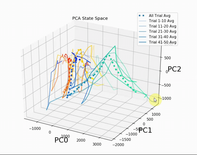 state_space_trial_grouped